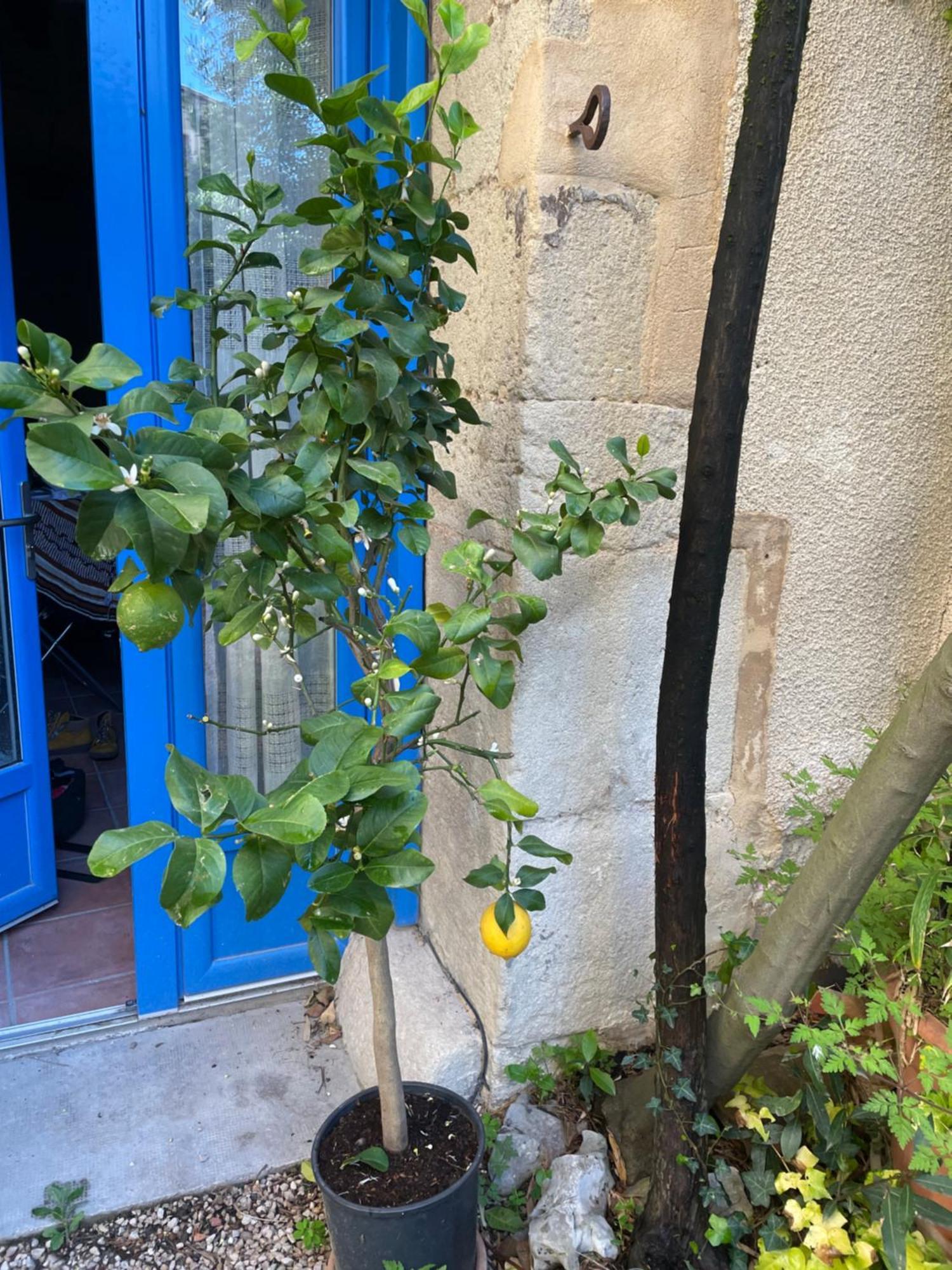 Appartement Cosy Malaucène Esterno foto